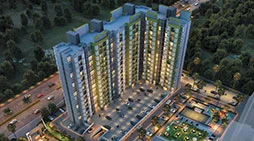 Vascon Citron amphitheatre